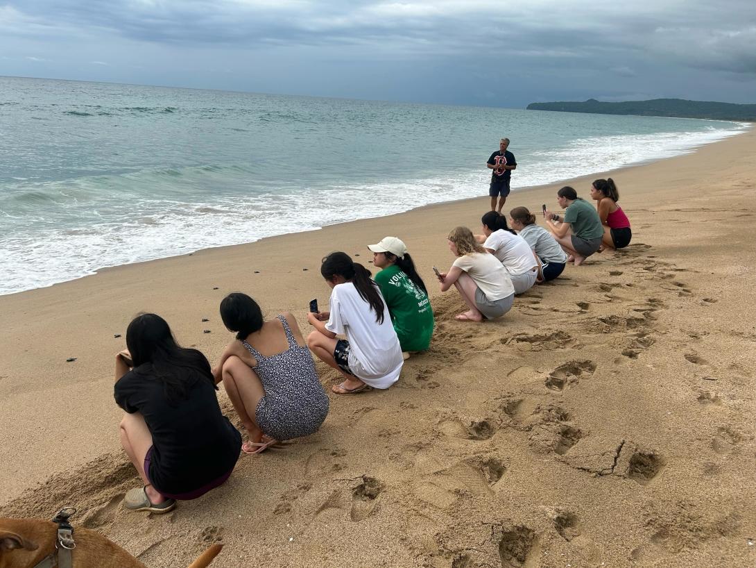 A group of conservation volunteers releasing hatchlings on the beach at sunset